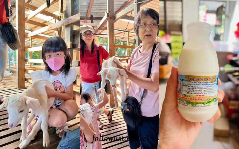 Sitiawan實兆遠景點飛鷹農場