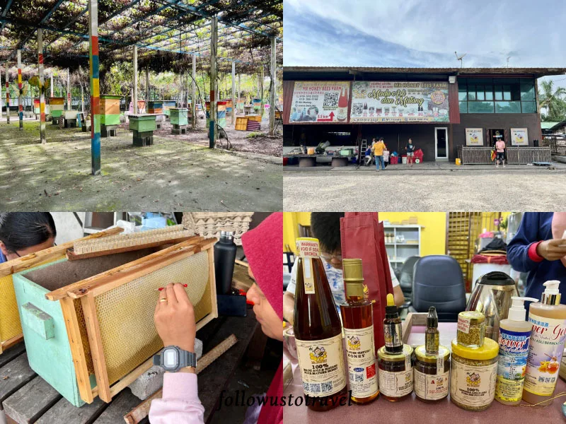 Sitiawan實兆遠景點Mr Honey Bees Farm