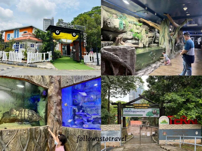 【2025吉隆坡塔】吉隆坡景點 KL Tower 空中觀景台/空中漫步/空中玻璃屋門票交通全攻略 22 吉隆坡塔藍珊瑚水族館