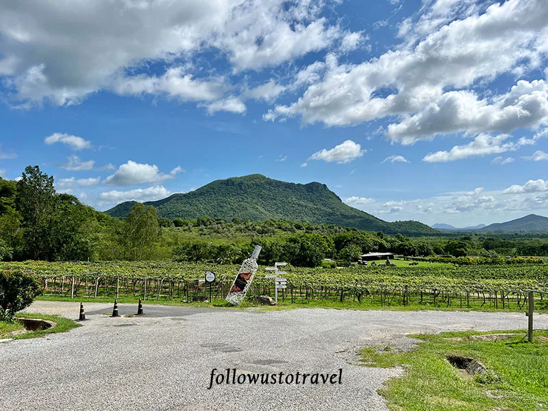 華欣景點華欣葡萄酒莊 Monsoon Valley Vineyard