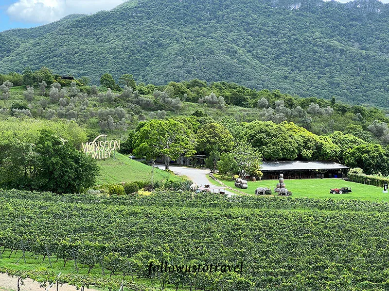 華欣景點華欣葡萄酒莊 Monsoon Valley Vineyard