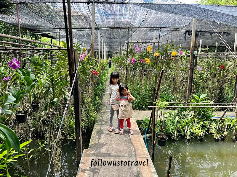 曼谷水上市場空叻瑪榮水上市場 Khlong Lat Mayom Floating Market 蘭花園