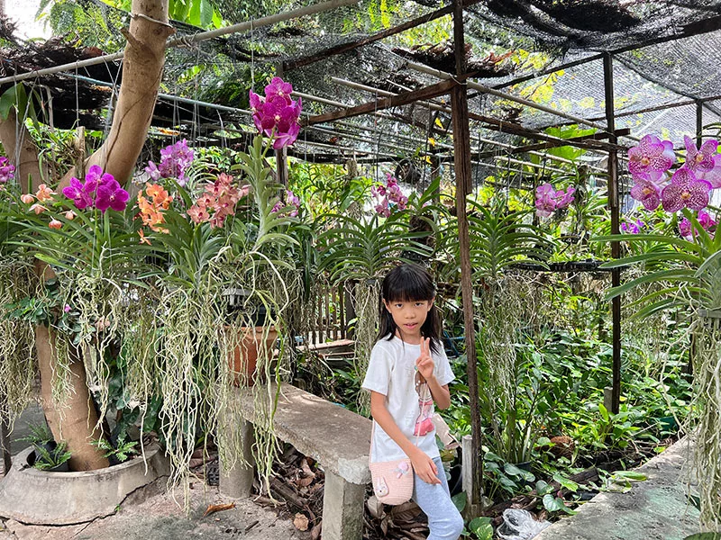 曼谷水上市場空叻瑪榮水上市場 Khlong Lat Mayom Floating Market 蘭花園