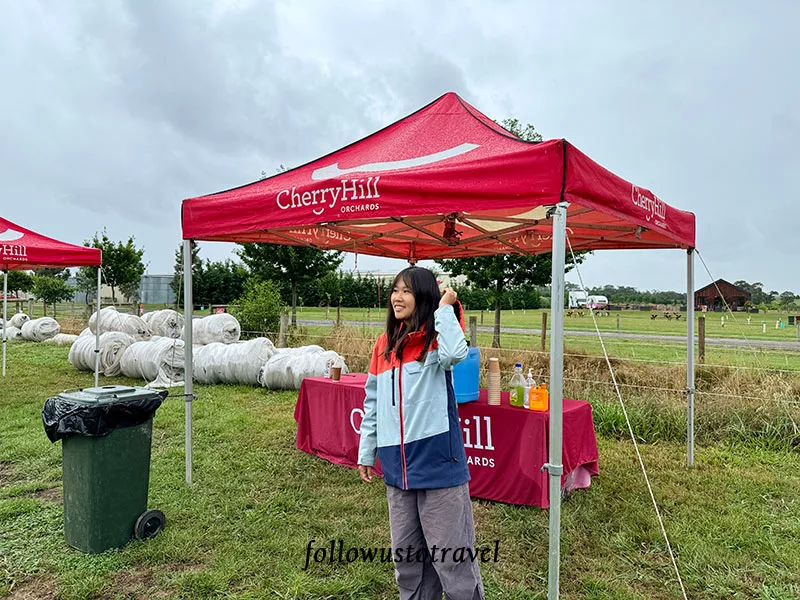 墨爾本景點 CherryHill Orchards 實現櫻桃自由