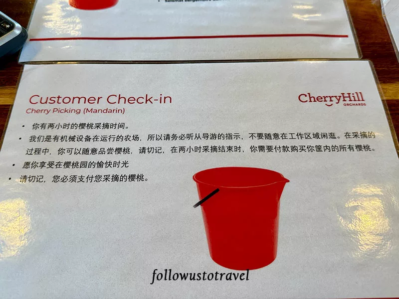 墨爾本景點 CherryHill Orchards 體驗採摘櫻桃