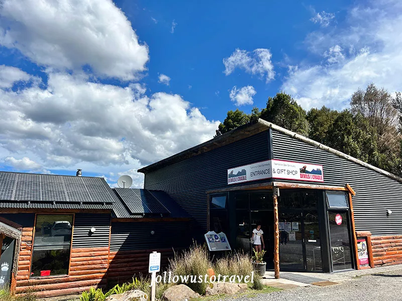 塔斯馬尼亞惡魔 搖籃山看袋獾 devils at cradle