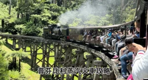 普芬比利蒸氣火車 Puffing Billy Railway