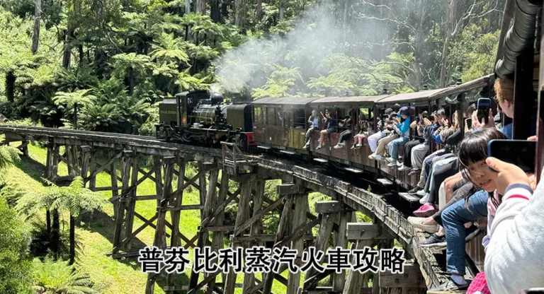 【墨爾本】普芬比利蒸汽火車票、行程路線、交通全攻略 Puffing Billy Railway