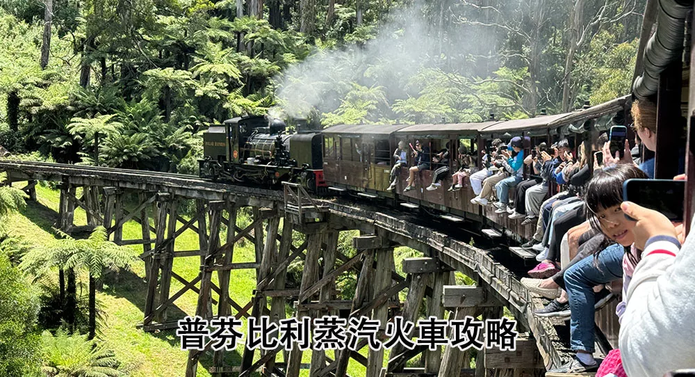 普芬比利蒸氣火車 Puffing Billy Railway