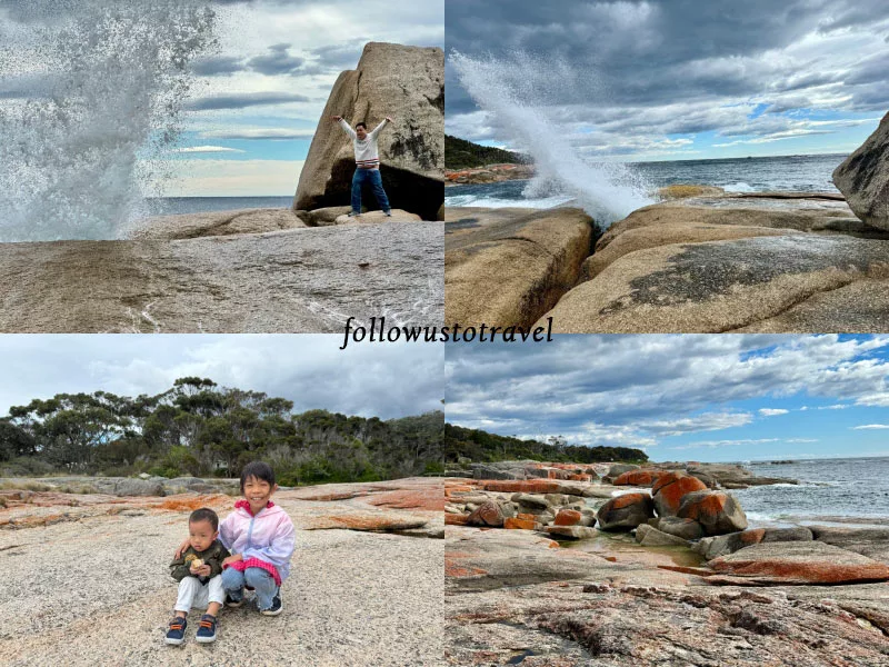 塔斯馬尼亞自由行 塔斯馬尼亞景點噴水洞 Bicheno Blowhole