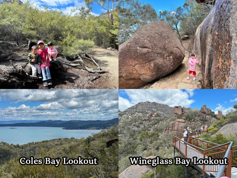 塔斯馬尼亞景點科爾斯灣觀景台 Coles Bay Lookout