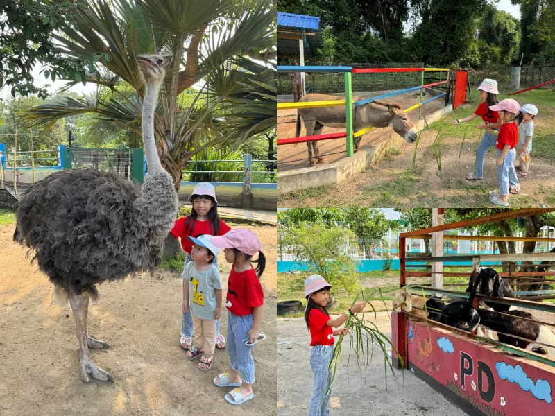 波德申景點鴕鳥園 PD Ostrich Show Farm
