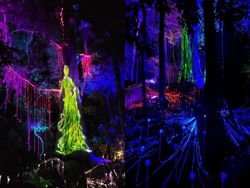 蘭卡威景點Dream Forest