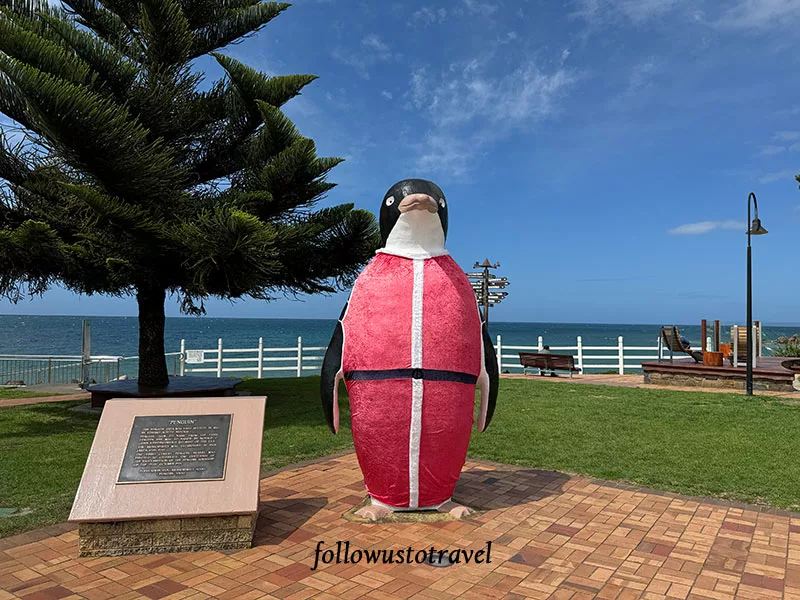 塔斯馬尼亞景點企鵝小鎮 Penguin