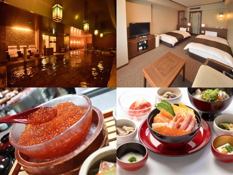 多美迎 PREMIUM 小樽飯店