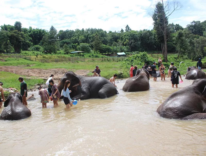 大象叢林保護區
