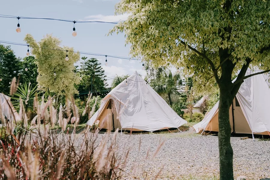 【2025苗栗露營】網友激推15間懶人露營區、露營車推薦 免裝備! 2 苗栗露營自然圈農場