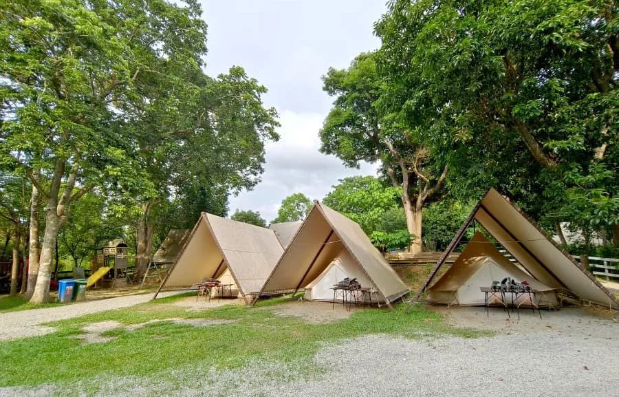 【2025苗栗露營】網友激推15間懶人露營區、露營車推薦 免裝備! 8 樹語星晴