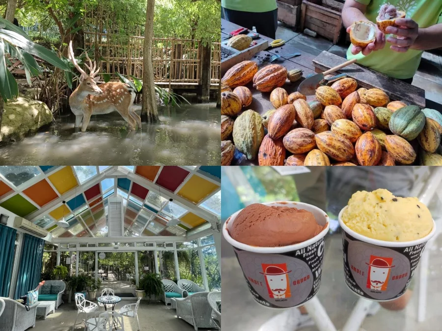 阿信巧克力農場