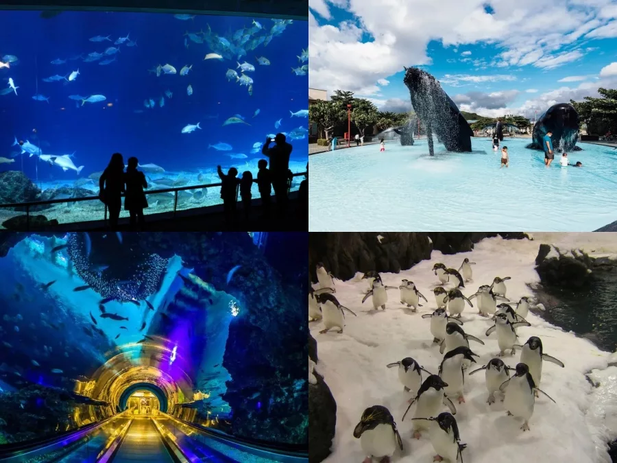 國立海洋生物博物館