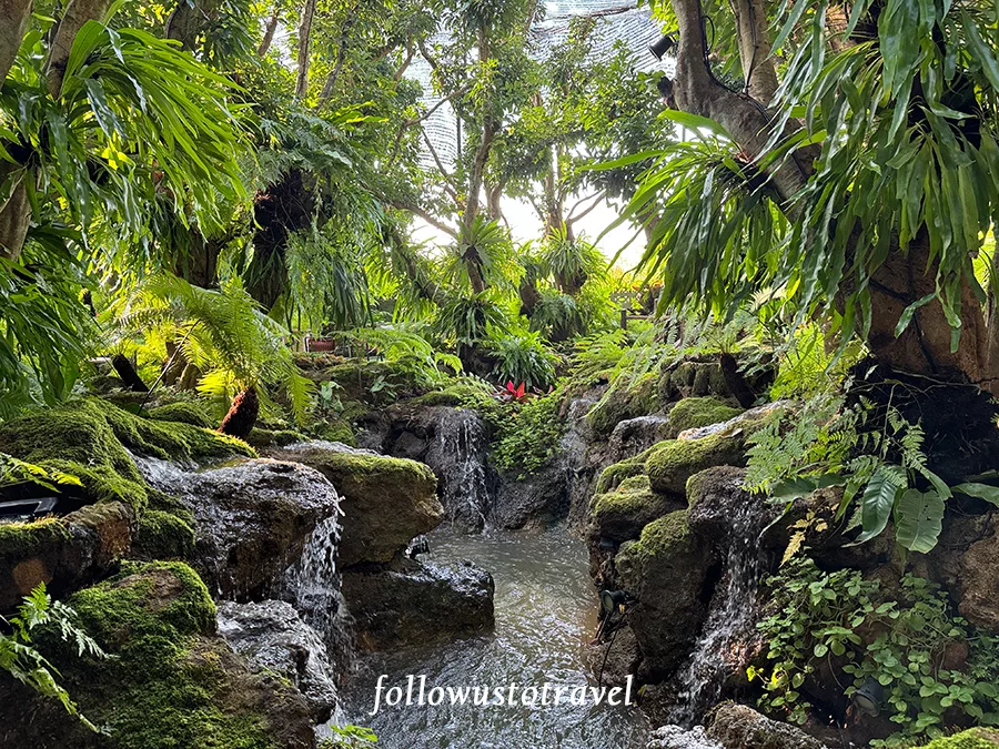 清邁森林系咖啡館 Doi Chaang Coffee Mae Rim