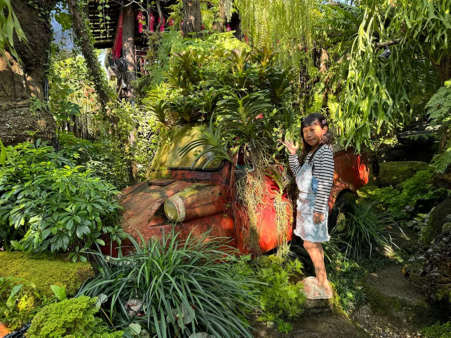 清邁森林系咖啡館 Doi Chaang Coffee Mae Rim