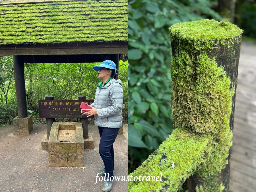 茵他儂國家公園步道