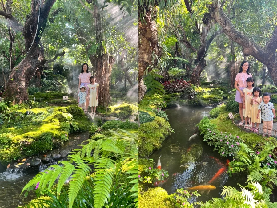 Chom Cafe and Restaurant