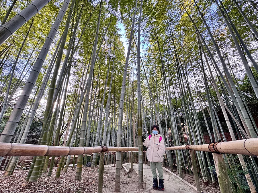 白鳥庭園