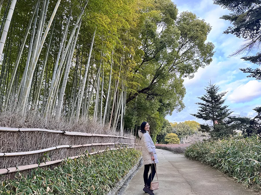 白鳥庭園