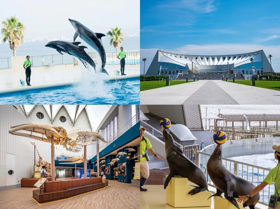 【2025福岡景點推薦】最新16個福岡必去景點博多、太宰府、北九州! 7 海洋世界海之中道