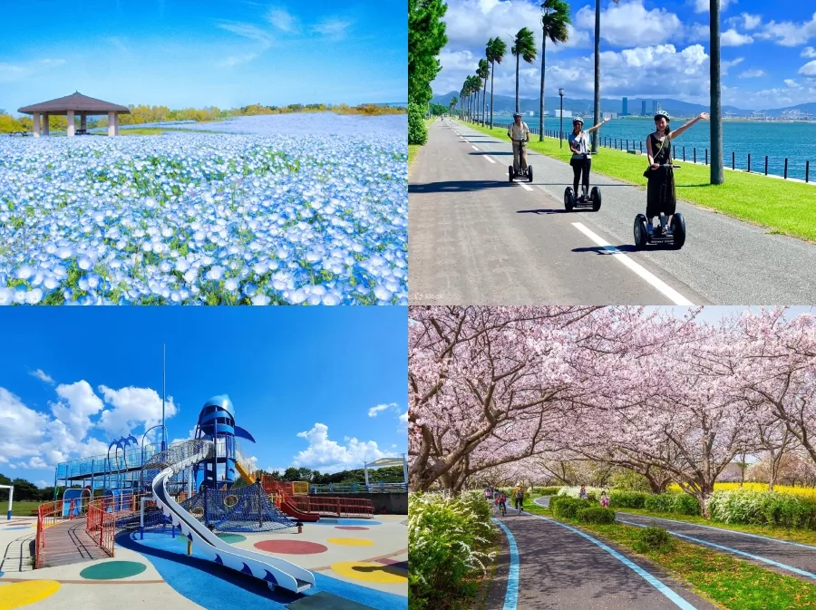 【2025福岡景點推薦】最新16個福岡必去景點博多、太宰府、北九州! 9 海之中道海濱公園