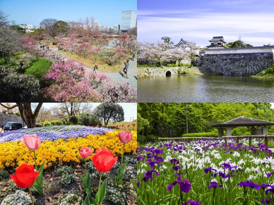 【2025福岡景點推薦】最新16個福岡必去景點博多、太宰府、北九州! 11 舞鶴公園&福岡城跡