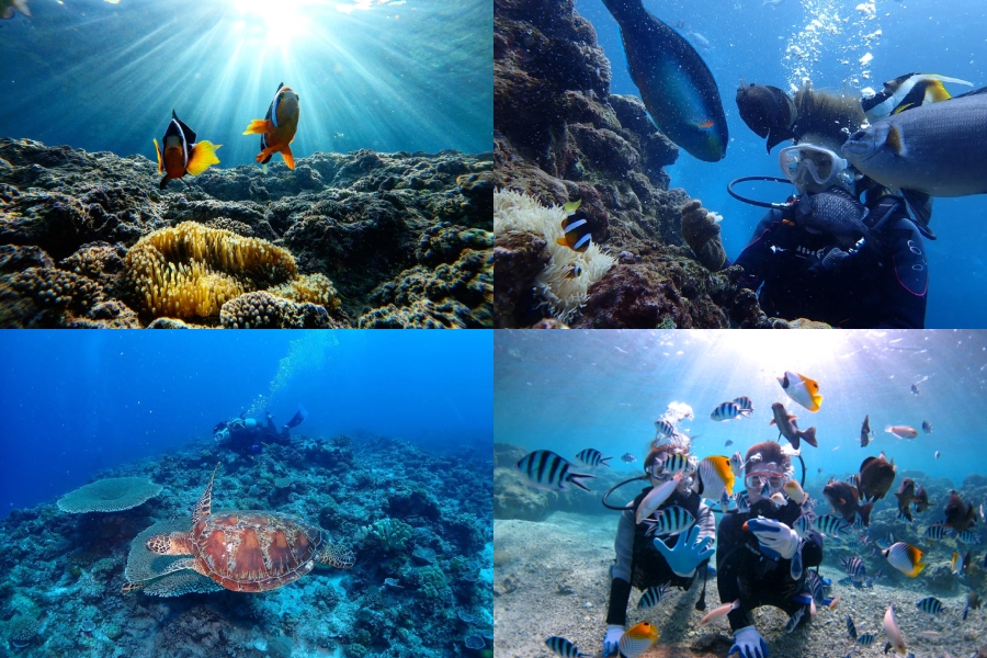 青之洞窟 Blue Cave