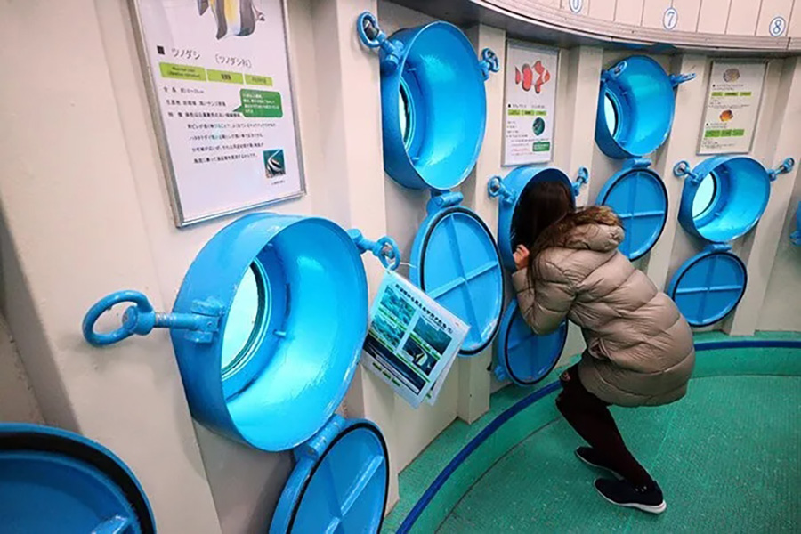 部瀬名海中公園