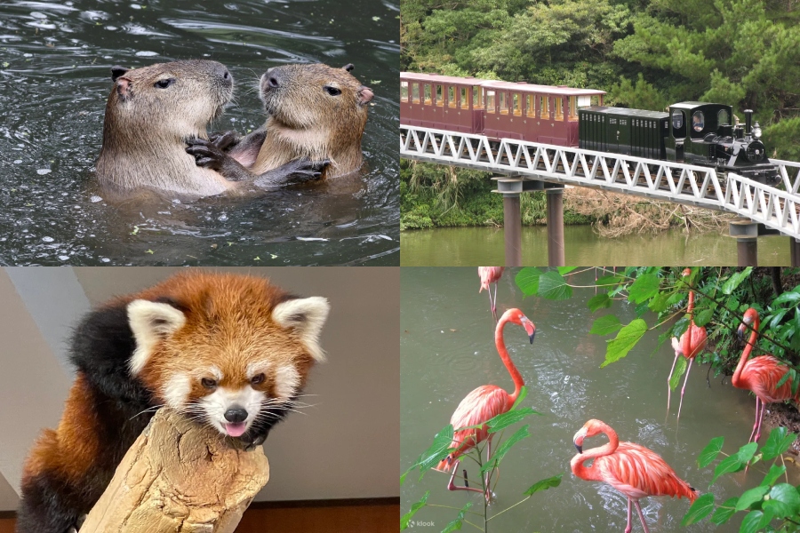 名護自然動植物公園