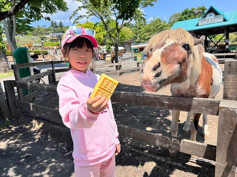 馬飼野牧場飼料