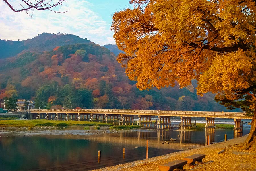 【2025京都楓葉】最新紅葉時間情報!15個京都賞楓景點&行程規劃整理 8 嵐山渡月橋