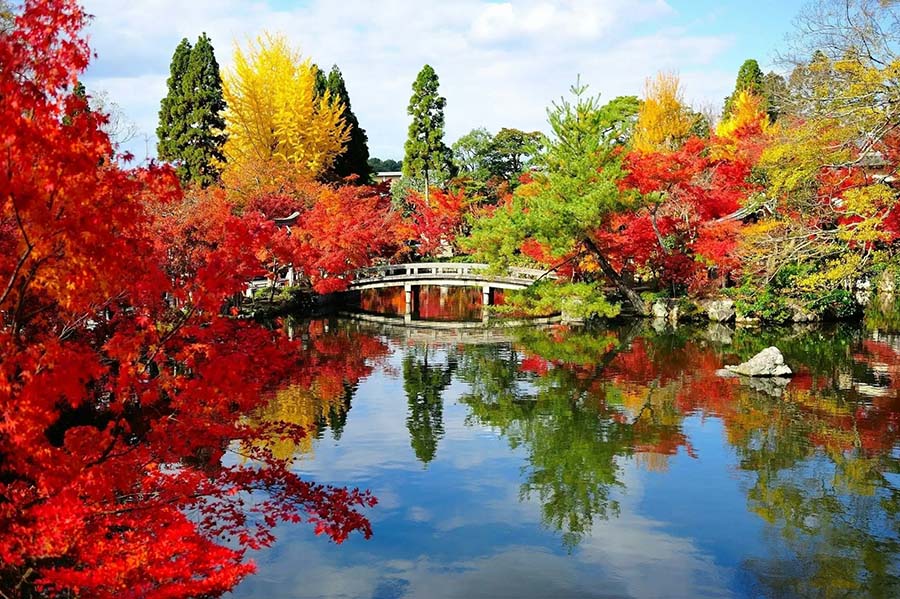【2025京都楓葉】最新紅葉時間情報!15個京都賞楓景點&行程規劃整理 4 永觀堂