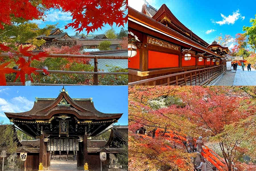 【2025京都楓葉】最新紅葉時間情報!15個京都賞楓景點&行程規劃整理 6 北野天滿宮