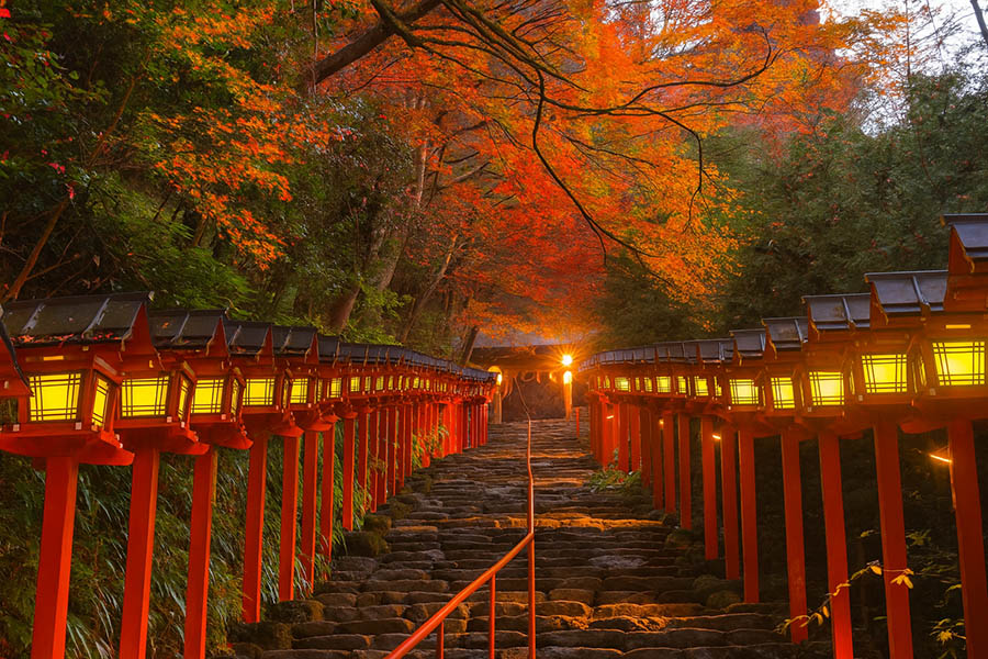 【2025京都楓葉】最新紅葉時間情報!15個京都賞楓景點&行程規劃整理 12 貴船神社