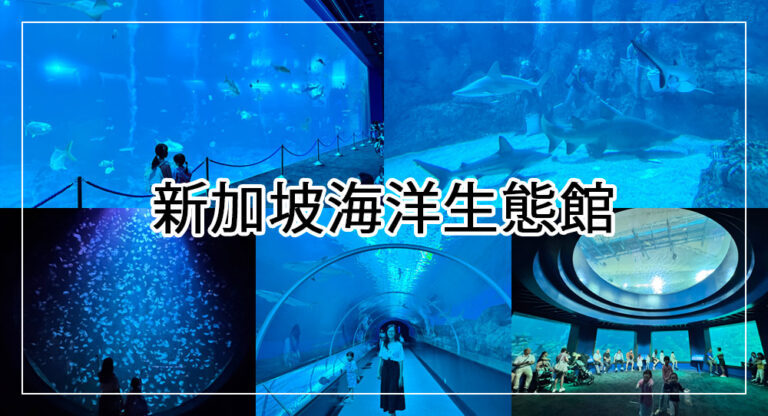 【2025聖淘沙景點】新加坡海洋生態館6大主題區、門票交通攻略