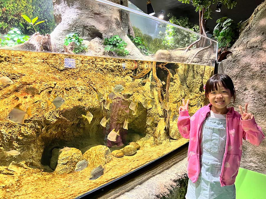 新加坡海洋生態館