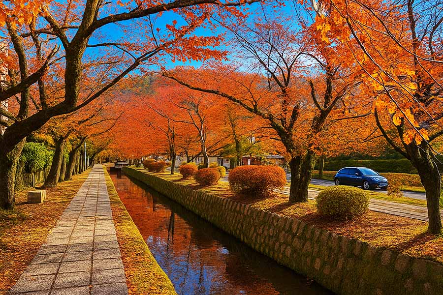 【2025京都楓葉】最新紅葉時間情報!15個京都賞楓景點&行程規劃整理 14 哲學之道