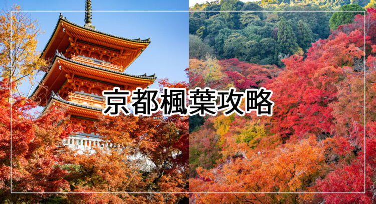 京都楓葉攻略