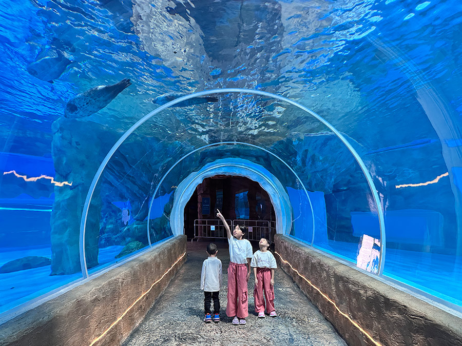 香港海洋公園海底隧道