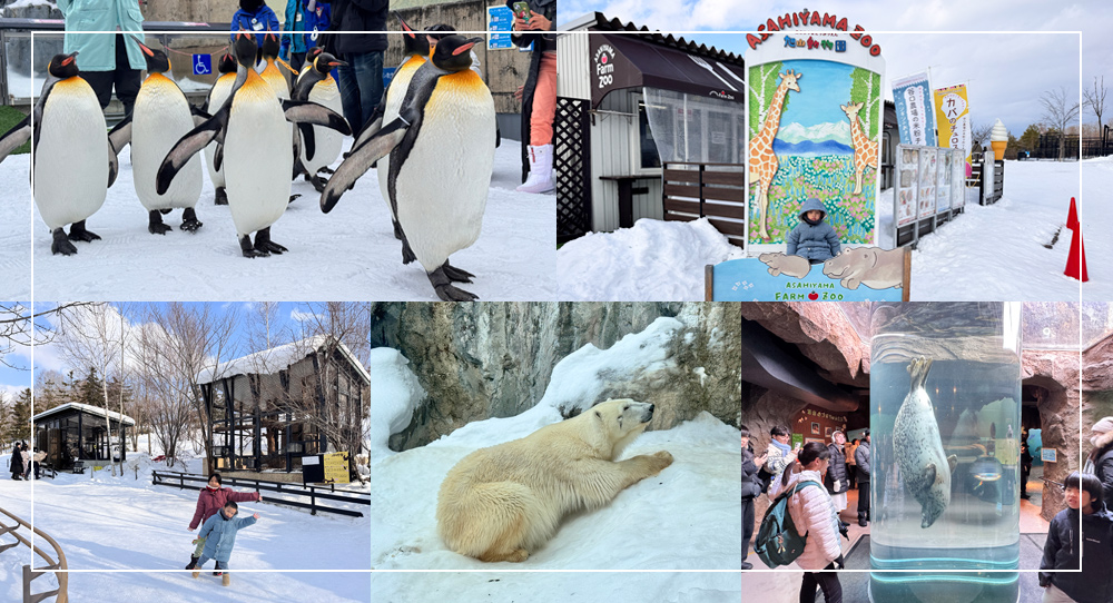 北海道旭山動物園