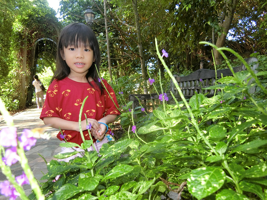 新加坡植物園