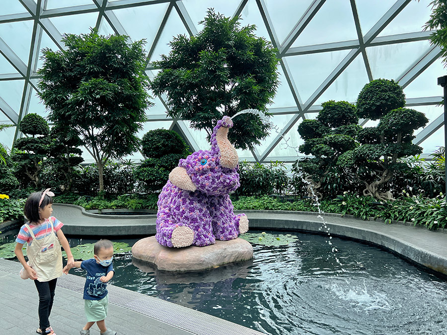 灌木花園