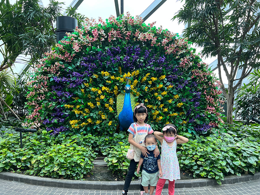 灌木花園